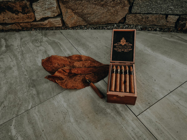 Prima Cigars GmbH Zigarre Cigar 329 Torpedo